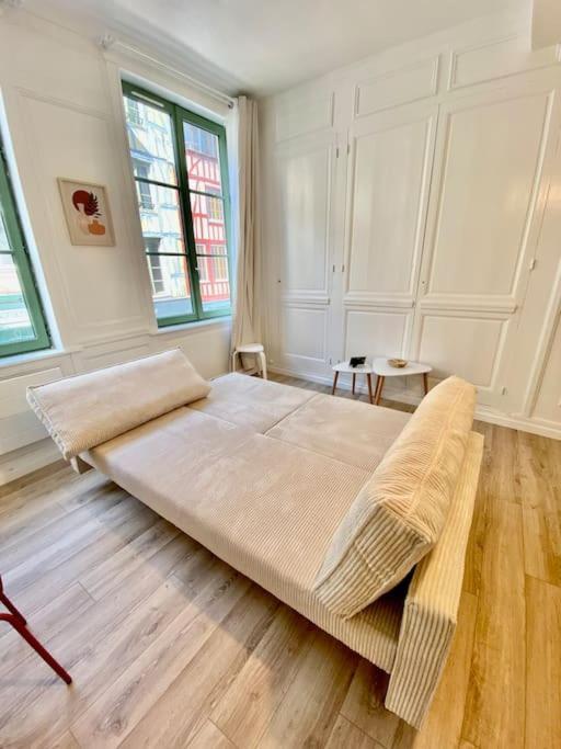 Le Cocon Du Robec Apartment Rouen Bagian luar foto